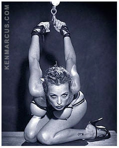 bondage penthose  Penthouse Pet Julie Smith in Bondage - Erotica by Ken Marcus